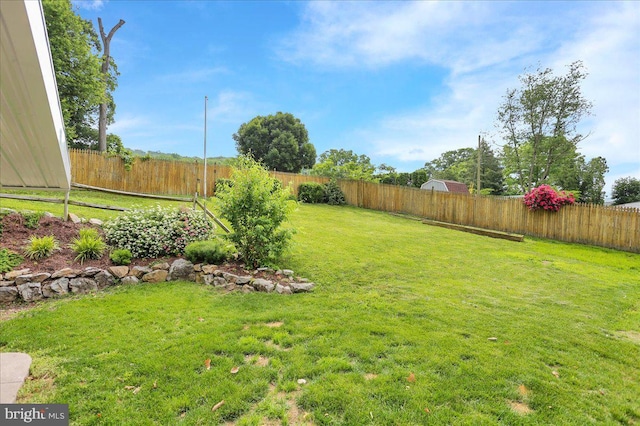 3629 Chestnut St, Reading, PA 19605 - view of fenced backyard