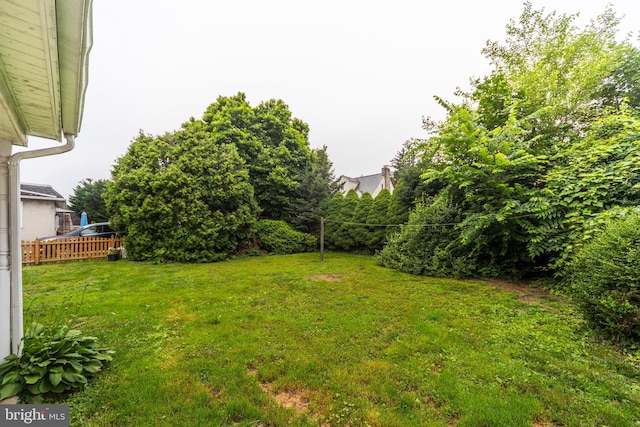 824 Lindale Ave, Drexel Hill, PA 19026 - view of yard