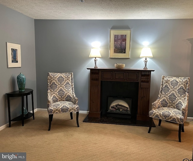617 Himes Ave Unit Vi107, Frederick, MD 21703 - sitting room with light carpet, a textured ceiling, and a fireplace with raised hearth
