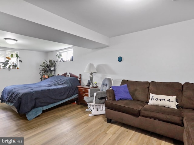 37AND41 Headwaters Rd, Chester Gap, VA 22623 - bedroom with light wood-style floors