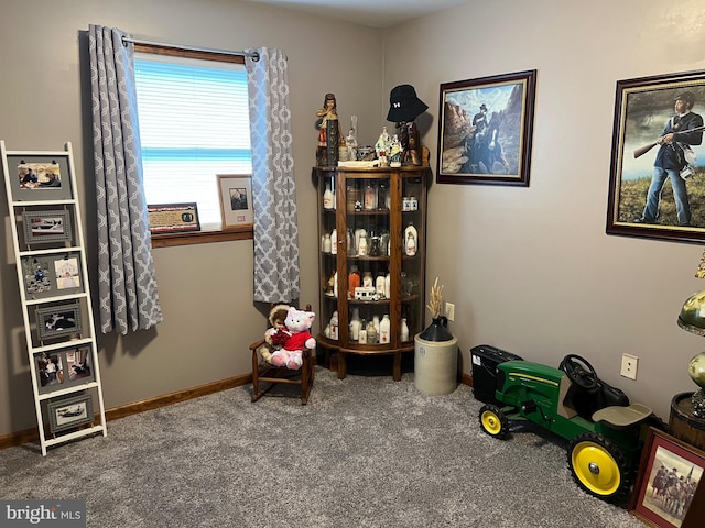 10474 Mapleton Rd, Shippensburg, PA 17257 - sitting room with carpet and baseboards