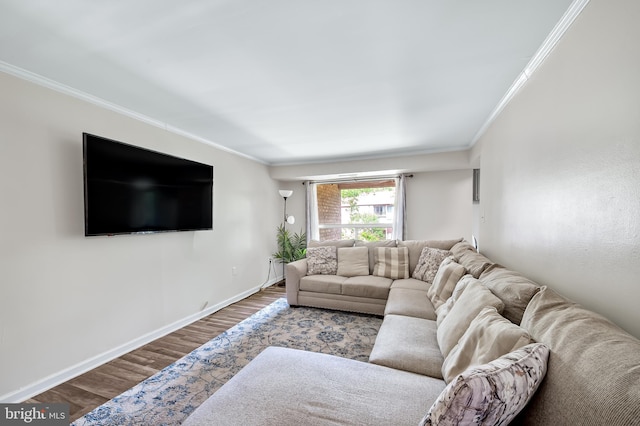 7702 Hanover Pkwy Unit 301, Greenbelt, MD 20770 - living room featuring ornamental molding and wood finished floors
