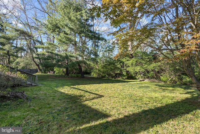 39 Haymarket Ln, Bryn Mawr, PA 19010 - view of green lawn