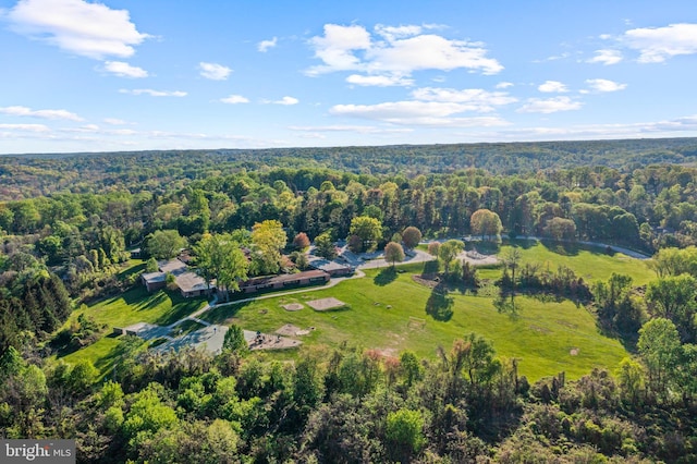 39 Haymarket Ln, Bryn Mawr, PA 19010 - bird's eye view of a heavily wooded area