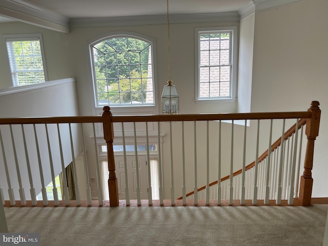 206 Excalibur Dr, Newtown Square, PA 19073 - detailed view of carpet floors and crown molding