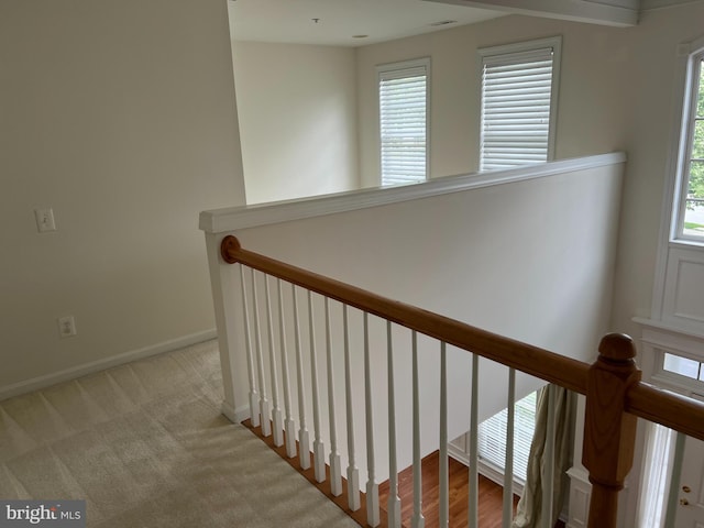 206 Excalibur Dr, Newtown Square, PA 19073 - hallway featuring an upstairs landing and carpet