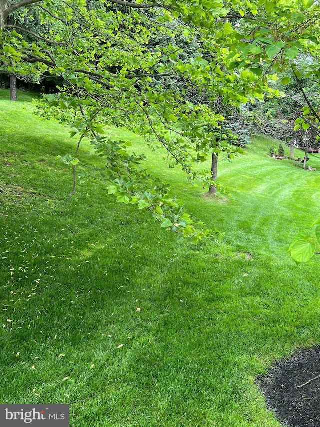 206 Excalibur Dr, Newtown Square, PA 19073 - view of green lawn