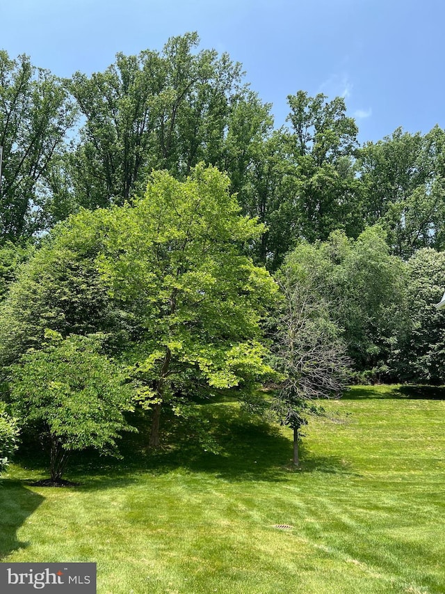 206 Excalibur Dr, Newtown Square, PA 19073 - view of grassy yard