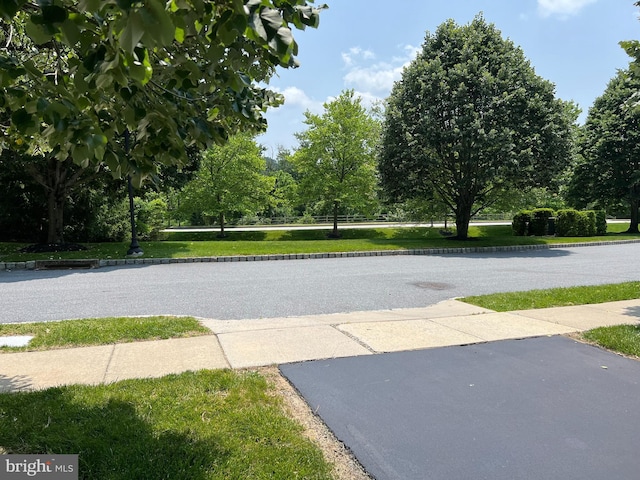 206 Excalibur Dr, Newtown Square, PA 19073 - view of street featuring sidewalks, curbs, and view of scattered trees