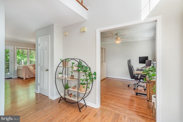 11006 Chesterwood Dr, Spotsylvania, VA 22553 - office space featuring wood finished floors and a ceiling fan