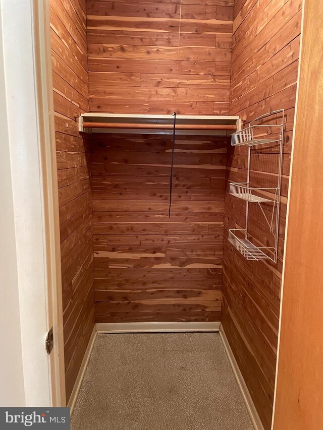 122 Elmtowne Blvd, Hammonton, NJ 08037 - spacious closet with carpet flooring