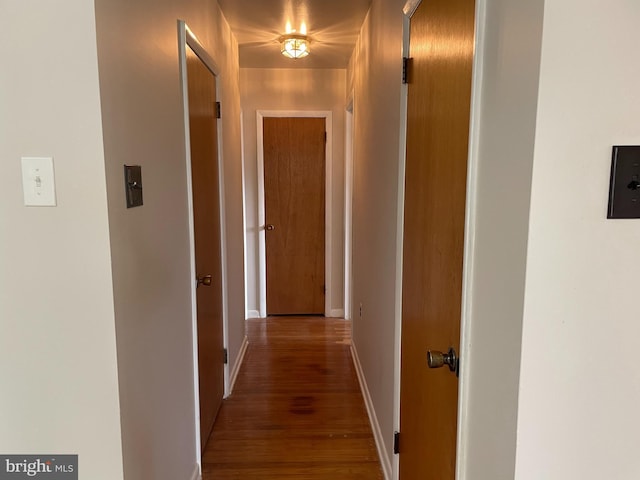 122 Elmtowne Blvd, Hammonton, NJ 08037 - corridor featuring wood finished floors and baseboards
