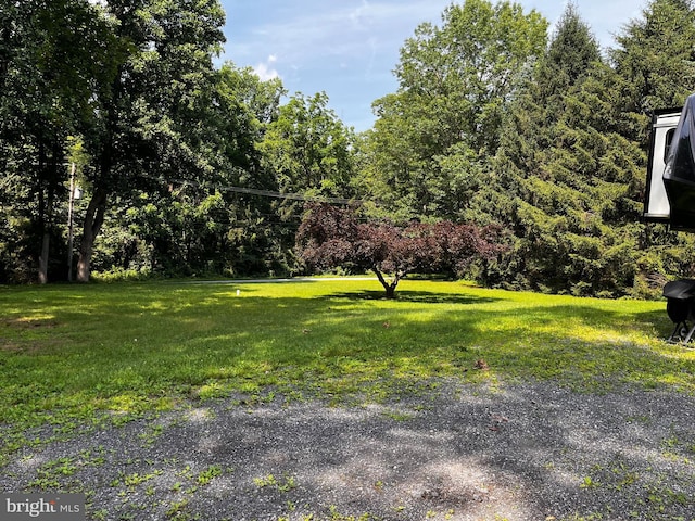 636 Pigeon Creek Rd, Pottstown, PA 19465 - view of green lawn
