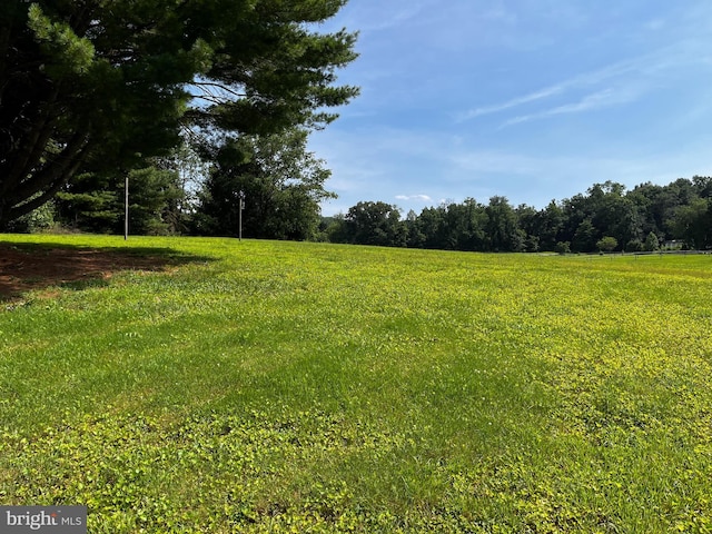 636 Pigeon Creek Rd, Pottstown, PA 19465 - view of yard
