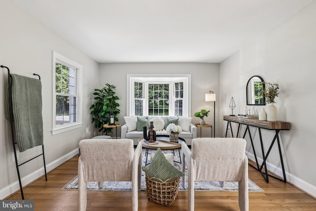 202 Piping Rock Dr, Silver Spring, MD 20905 - living room with wood finished floors and baseboards