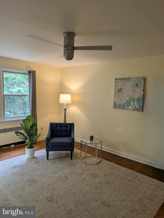 4004 Beecher St NW Unit 304, Washington, DC 20007 - living area featuring ceiling fan, radiator heating unit, and wood finished floors