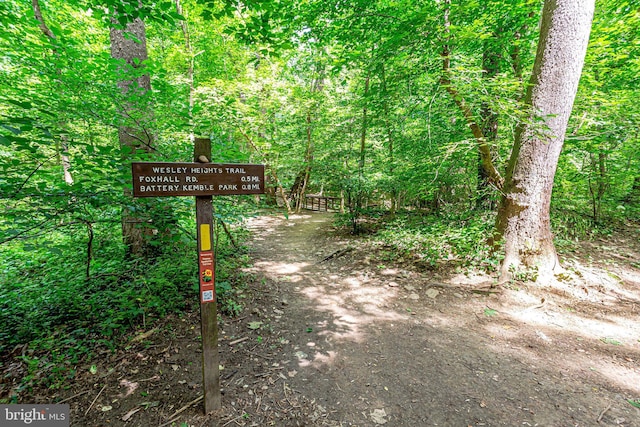 4004 Beecher St NW Unit 304, Washington, DC 20007 - exterior view of a heavily wooded area