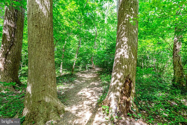4004 Beecher St NW Unit 304, Washington, DC 20007 - view of tree filled area