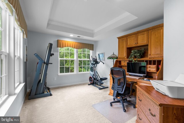 22351 Winding Woods Way, Clarksburg, MD 20871 - home office with crown molding, a raised ceiling, and carpet flooring