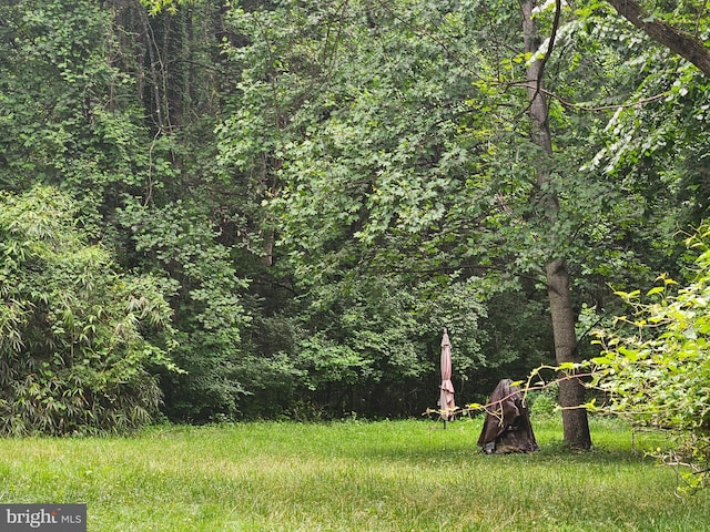 2914 Hunter Rd, Fairfax, VA 22031 - view of yard with a forest view