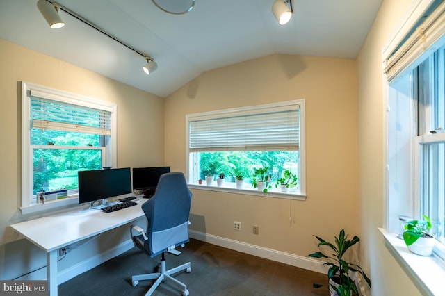 496 Black Swan Ln, Berwyn, PA 19312 - home office featuring vaulted ceiling, dark carpet, and rail lighting