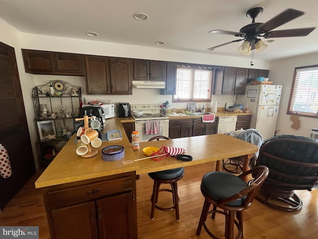 18 N 19th St, Surf City, NJ 08008 - kitchen featuring white appliances, under cabinet range hood, dark brown cabinets, ceiling fan, and light countertops