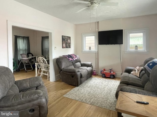 433 Williams St, Cumberland, MD 21502 - living room featuring a ceiling fan and wood finished floors