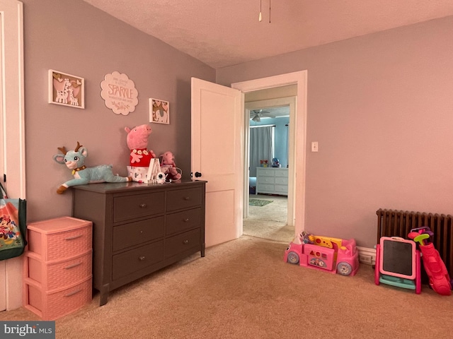 433 Williams St, Cumberland, MD 21502 - recreation room with light carpet and radiator heating unit