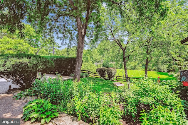 36155 Chamblin Mill Ln, Purcellville, VA 20132 - view of yard
