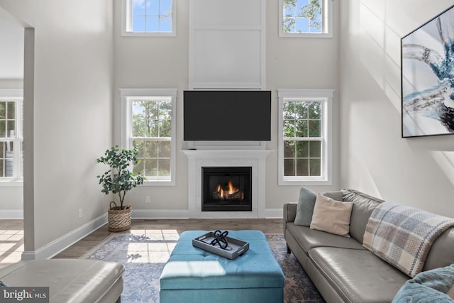 4245 Mechanicsville Rd, Doylestown, PA 18902 - living room featuring a high ceiling, a lit fireplace, and wood finished floors