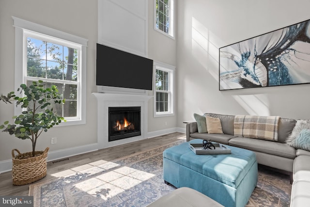 4245 Mechanicsville Rd, Doylestown, PA 18902 - living area with wood finished floors, a glass covered fireplace, and a towering ceiling