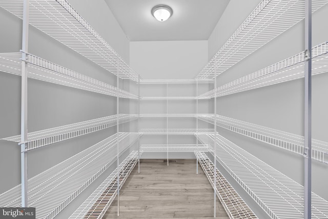 4245 Mechanicsville Rd, Doylestown, PA 18902 - view of pantry