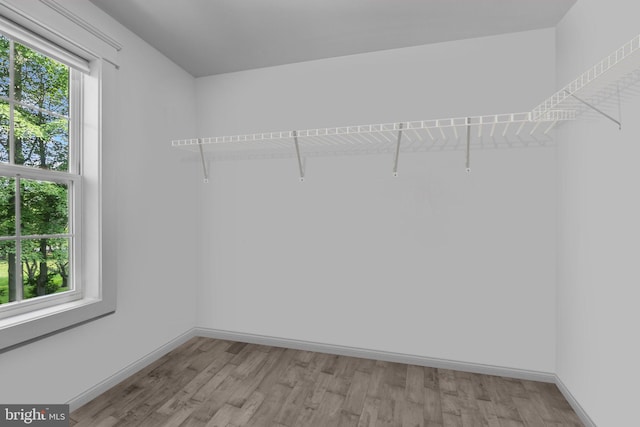 4245 Mechanicsville Rd, Doylestown, PA 18902 - walk in closet with light wood-style floors