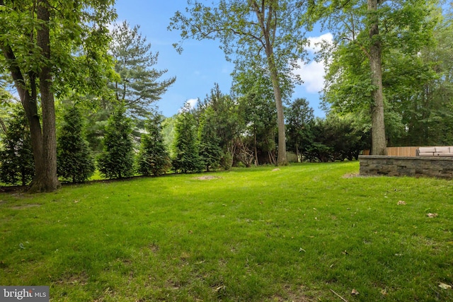 4245 Mechanicsville Rd, Doylestown, PA 18902 - view of green lawn