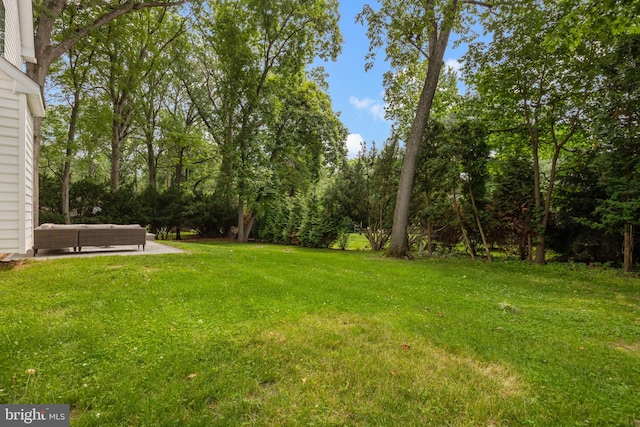 4245 Mechanicsville Rd, Doylestown, PA 18902 - view of grassy yard with a patio