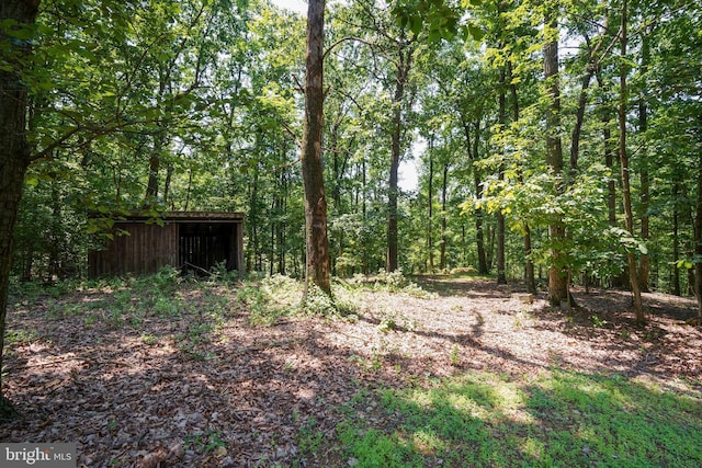 12810 Kending Ln, Clear Spring, MD 21722 - view of yard with a view of trees