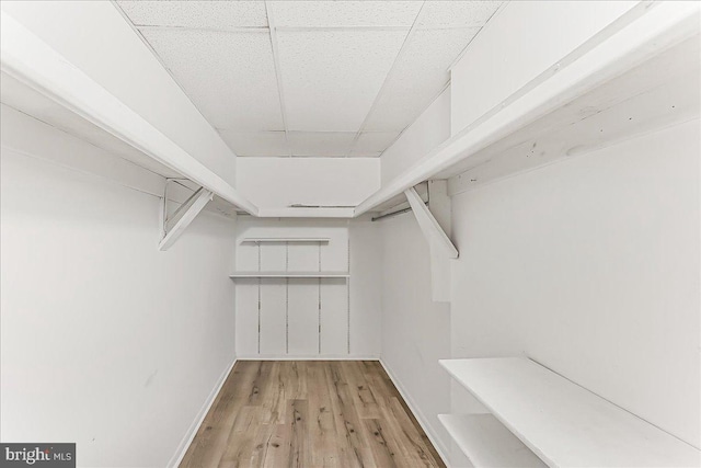 400 Glendale Rd Unit G-13, Havertown, PA 19083 - spacious closet featuring light wood finished floors and a drop ceiling