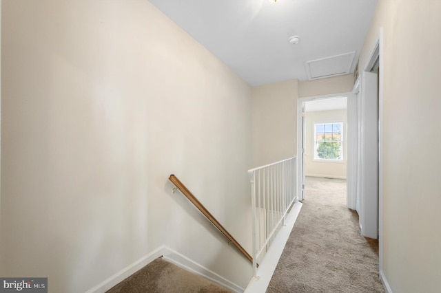 208 Kimberly Way, Winchester, VA 22601 - hall with an upstairs landing, carpet flooring, and attic access