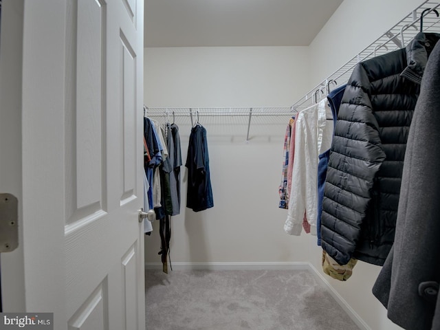 7436 Pensacola Pl, Gainesville, VA 20155 - spacious closet featuring carpet