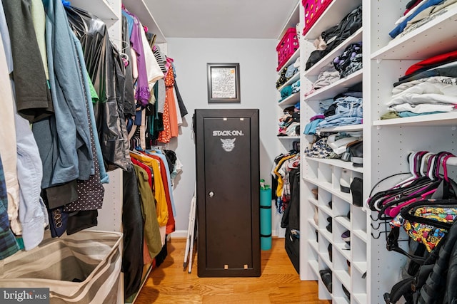 9946 Canvasback Way, Damascus, MD 20872 - spacious closet featuring wood finished floors