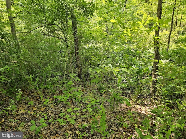 0 Sandy Run, Yardley, PA 19067