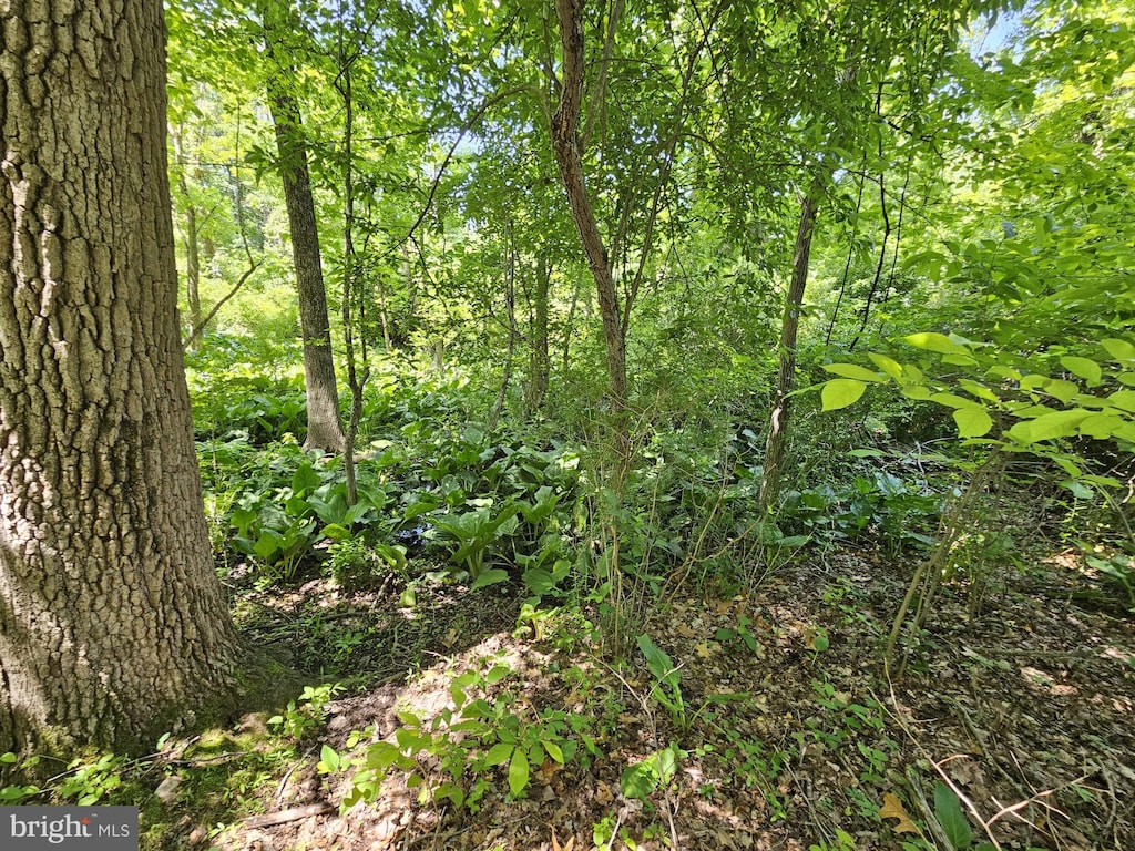0 Sandy Run, Yardley, PA 19067