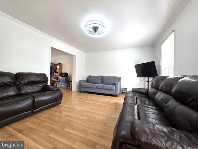 6529 Huntshire Dr, Elkridge, MD 21075 - living area with ornamental molding and light wood-style floors