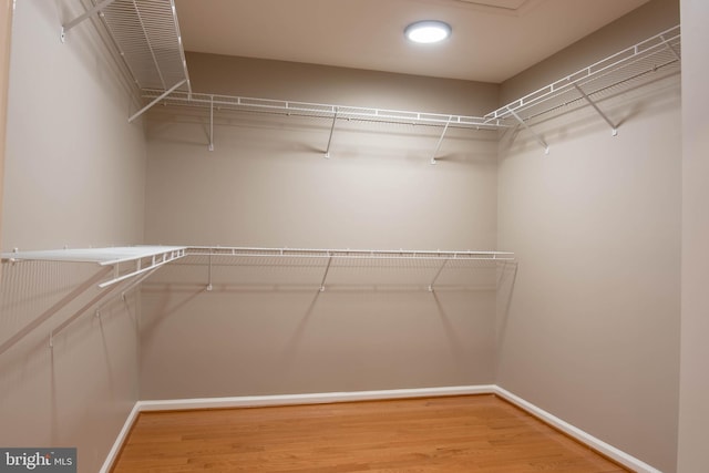 114 Herndon Mill Cir, Herndon, VA 20170 - spacious closet featuring light wood-style floors