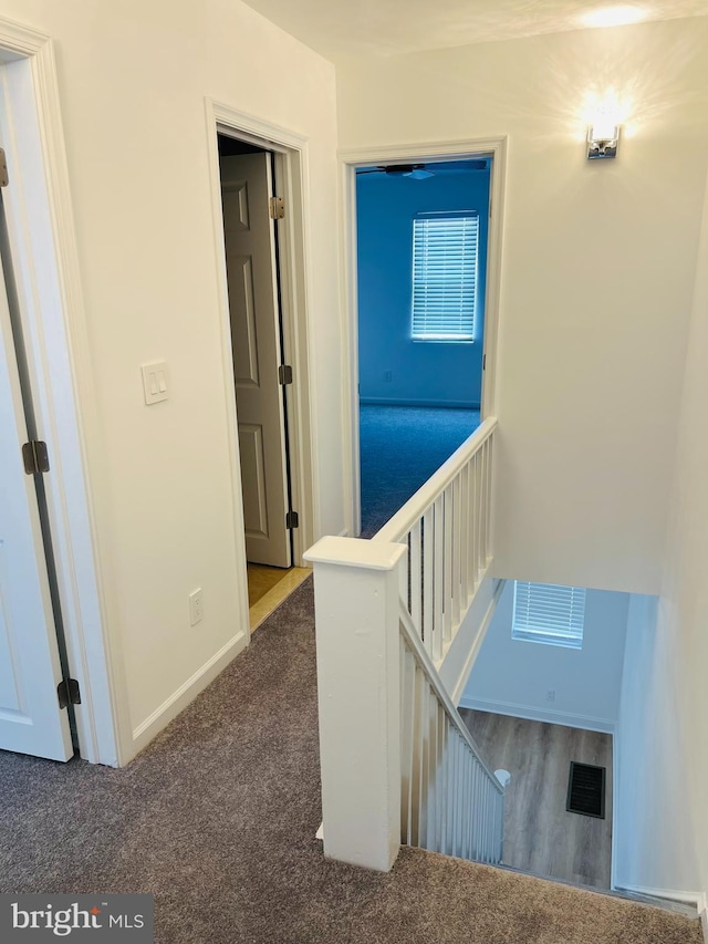 6610 N Smedley St, Philadelphia, PA 19126 - hall with an upstairs landing and carpet floors