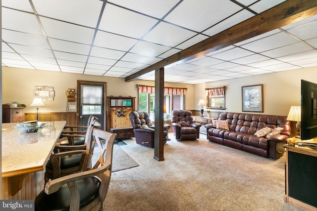 848 Rapp Rd, Howard, PA 16841 - living area with a drop ceiling and carpet floors