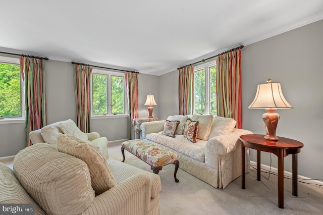 130 Hunt Valley Cir, Berwyn, PA 19312 - living room featuring light colored carpet, plenty of natural light, and crown molding