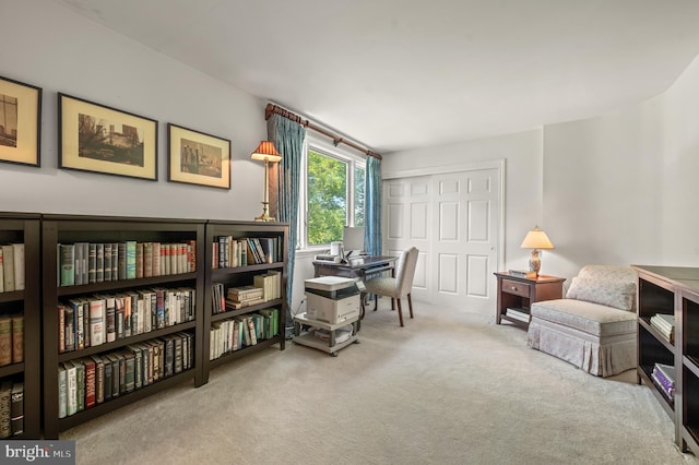 130 Hunt Valley Cir, Berwyn, PA 19312 - office with carpet floors