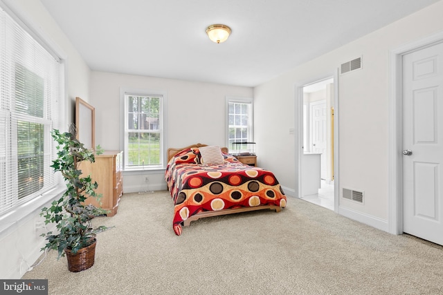 501 Bald Eagle Ct, Lancaster, PA 17601 - carpeted bedroom with baseboards