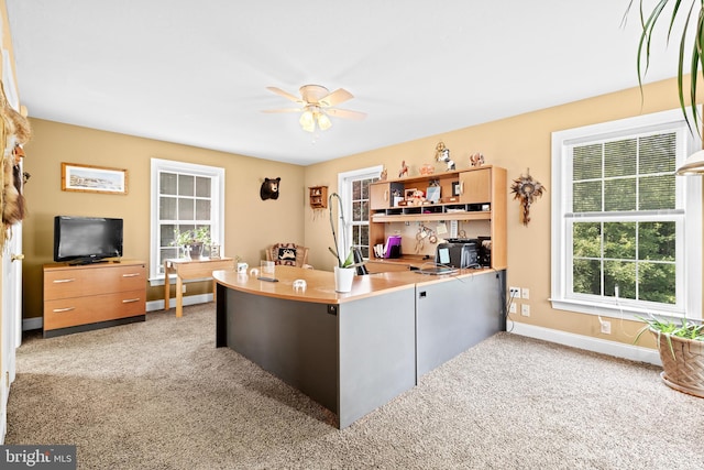 501 Bald Eagle Ct, Lancaster, PA 17601 - office area featuring a ceiling fan, carpet floors, and plenty of natural light